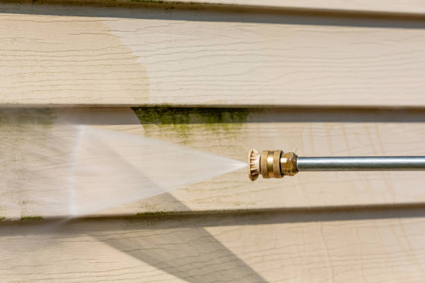 Best Residential Pressure Washing Services  in Metamora, IL
