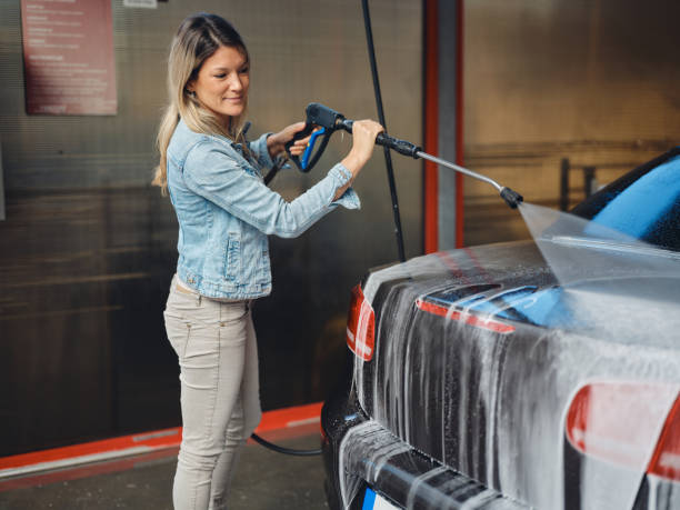 Best House Pressure Washing  in Metamora, IL