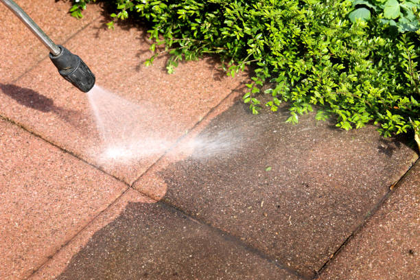 Best Affordable Power Washing  in Metamora, IL